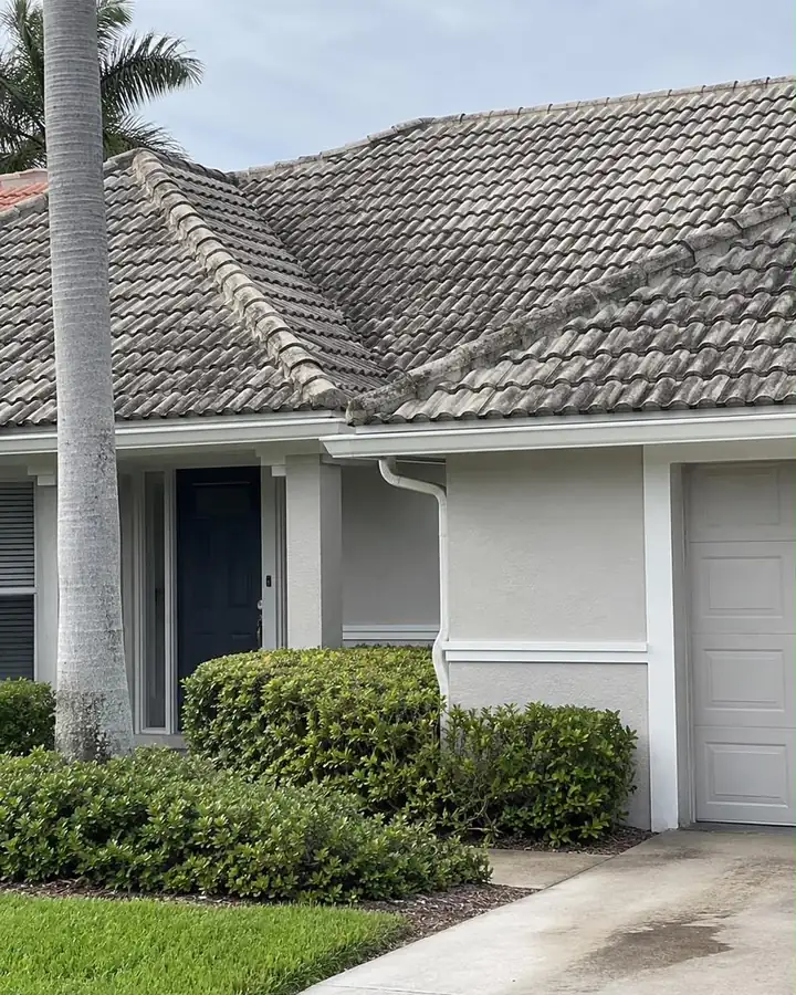 A flat concrete tile roof darkened by grey and black algae streaks.