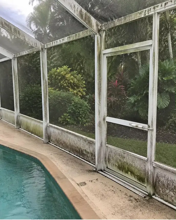 A pool screen enclosure with the white frame stained green and black.