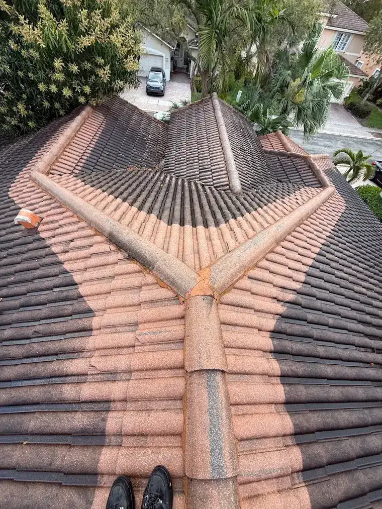 A barrel tile roof in the middle of a soft wash: the cleaned sections show the original salmon-colored tile while the untouched sections are black with algae.