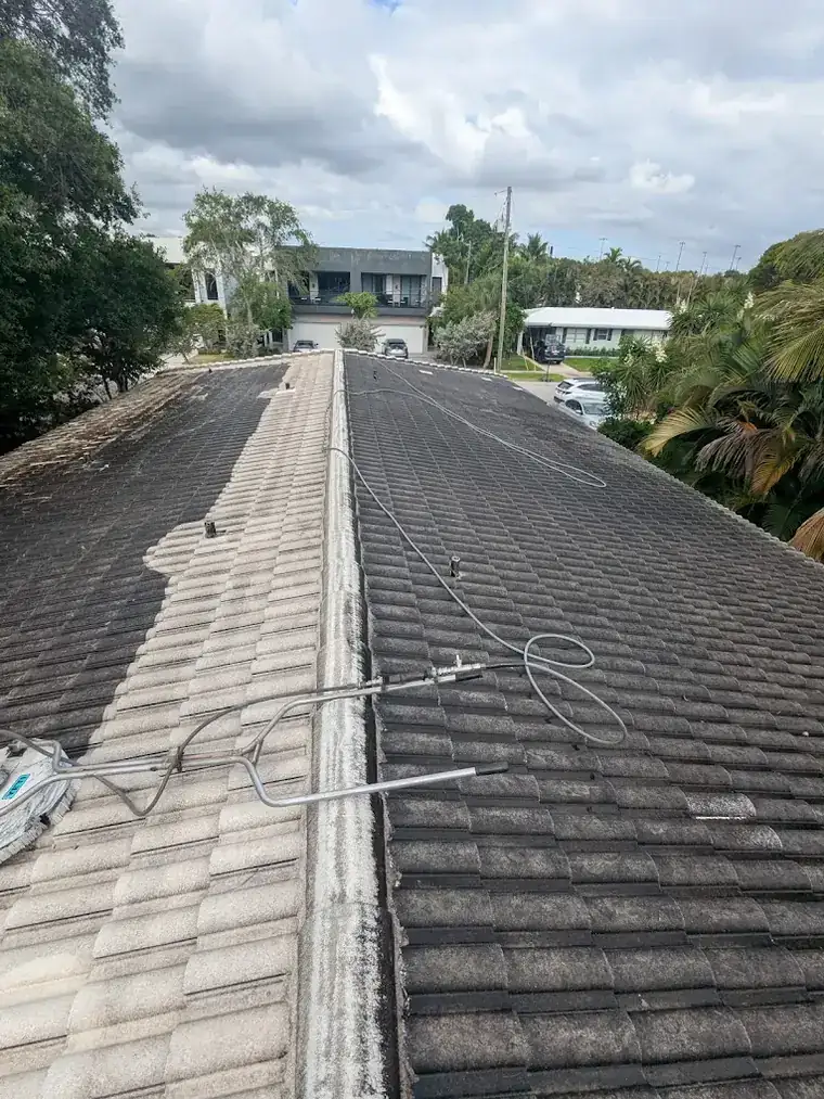 A long tile roof being soft washed. The left slope has a bright cleaned stripe running down it, the right slope is still black with algae, with the wash lance lying across the ridge.